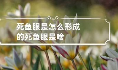 死鱼眼是怎么形成的 死鱼眼是啥