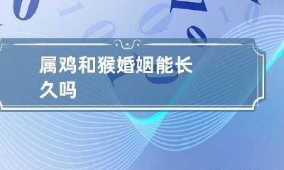 属鸡和猴婚姻能长久吗