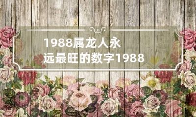1988属龙人永远最旺的数字 1988属龙人的幸运6个数字