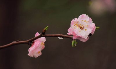 2022年春季的阳历开业吉日一览