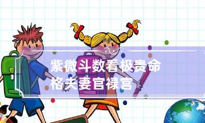 紫微斗数看极贵命格 夫妻官禄宫