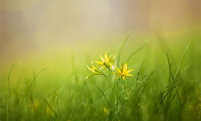 2022壬寅虎年下半年黑道凶日是哪些日子？