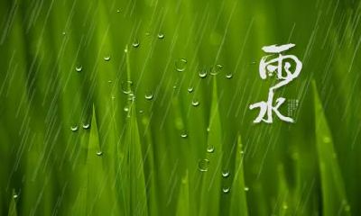 寒露节气出生的生肖猴命运怎么样？是好命吗？