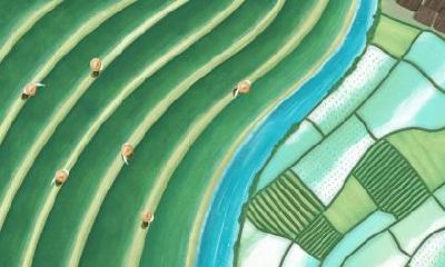 属狗的人在10月8日寒露节气出生命运如何？