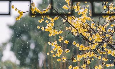 2020年2月4号是立春吗？立春节气“咬春”是咬什么？