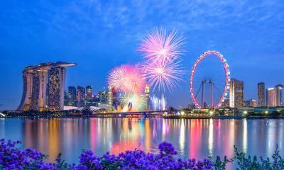 1月1日元旦出生的属马人命运怎么样？