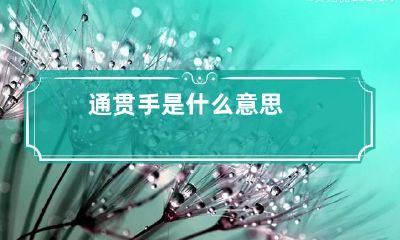 通贯手是什么意思