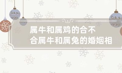 属牛和属鸡的合不合 属牛和属兔的婚姻相配吗