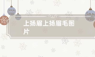 上扬眉 上扬眉毛图片