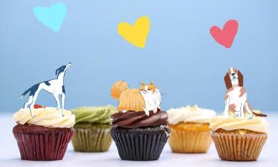 万圣节2021年是几月几日？万圣节吃什么特色美食？