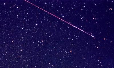 双子座流星雨今晚将大爆发，每小时可达120颗