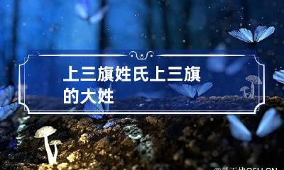 上三旗姓氏 上三旗的大姓
