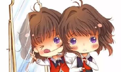 双子座的理想妻子