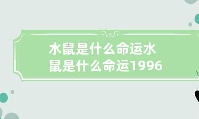 水鼠是什么命运 水鼠是什么命运1996