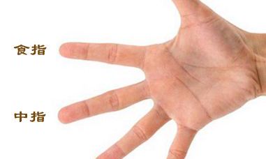 如何从手指看出一个人的性格