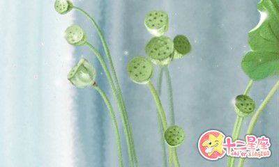 赖国光2016年9月生肖鸡运势