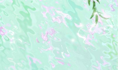 郑博士2016年10月生肖鸡财运提前报