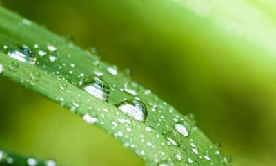 2021年小寒节气（1月5日）出生男孩命理解析！