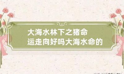 大海水林下之猪命运走向好吗 大海水命的猪好吗