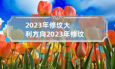 2023年修坟大利方向 2023年修坟利什么方向