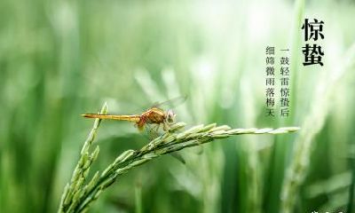 惊蛰读音是什么怎么读？2023惊蛰日子好不好？