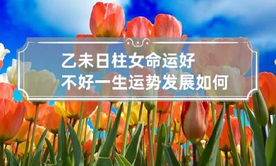 乙未日柱女命运好不好 一生运势发展如何