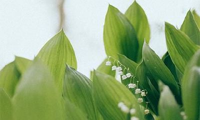 冬季女宝宝五行起名，五行女宝宝名字推荐