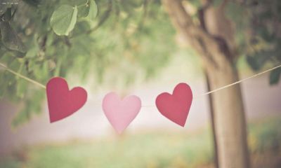 属龙男属兔女婚姻状况如何？属兔女在感情上有什么弱点？