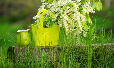 哪些生肖蛇年犯太岁也不怕?