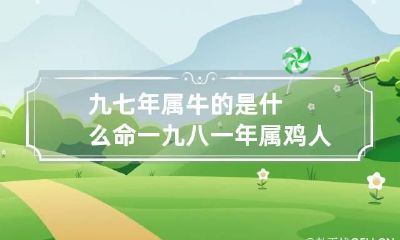 九七年属牛的是什么命 一九八一年属鸡人什么命