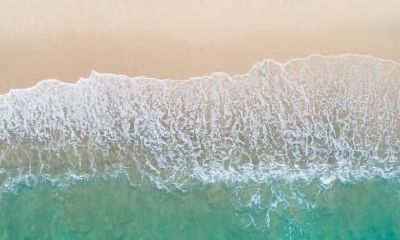 2021年小暑适不适合开业？是不是开业吉日？