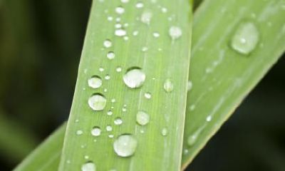 2018年立冬节气的喜神方位分析，喜神各时辰方位详解