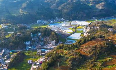 2018年腊月（十二月）初六生男孩五行起名大全