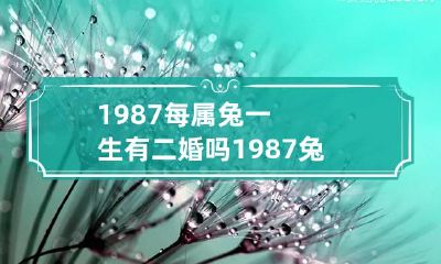 1987每属兔一生有二婚吗 1987兔有几次婚姻