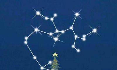 射手座与水瓶座配对