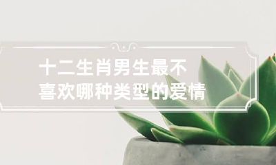 十二生肖男生最不喜欢哪种类型的爱情