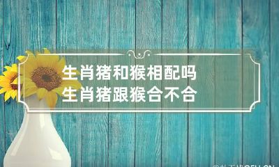 生肖猪和猴相配吗 生肖猪跟猴合不合