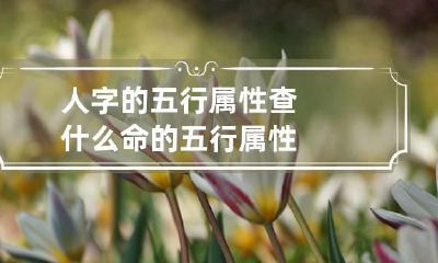 人字的五行属性 查什么命的五行属性