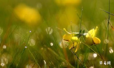 2022年农历六月十一的日子好吗？当天剪头发好不好？