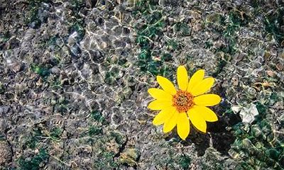 2018年12月4日出生的男孩如何起名字？五行起名该怎么起？