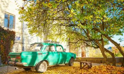 2020年农历十一月中都有哪些节气？