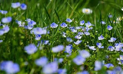 2022年农历六月十二当天的日子如何？适合理发吗？