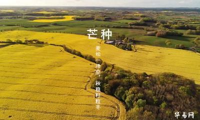 2022年芒种的财神方位在哪？芒种节气的三个物候现象