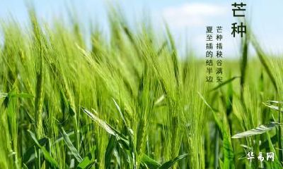 2022年芒种这天的喜神方位，芒种养生怎么食疗？