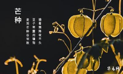 2022年芒种忌讳什么？芒种时节饮食上有什么禁忌吗？