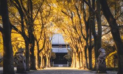 2021年农历七月二十三适不适合去寺庙拜拜祈福？