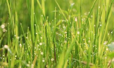 2020年农历七月二十日白露禁忌什么？不能做什么？