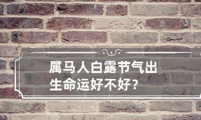 属马人白露节气出生命运好不好？
