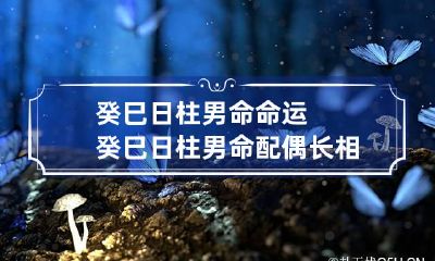 癸巳日柱男命命运 癸巳日柱男命配偶长相