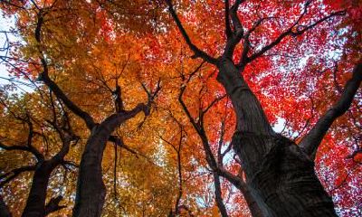 今年的秋分是几月几号？秋分有哪些民俗习俗？